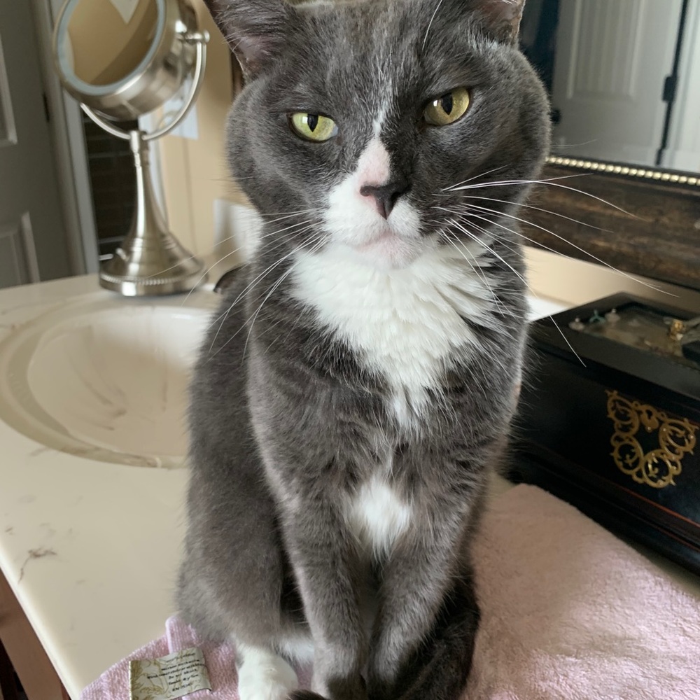 Meet your Posher, Wendy